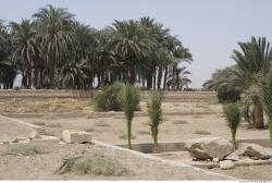 Dendera Temple Photo Textures